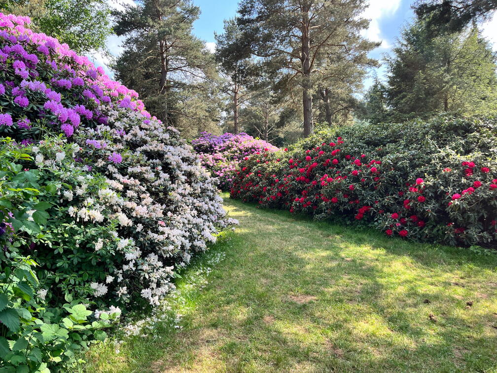 23-06-03 16-34-52 5782